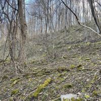 Yough Lake Big Bend Rd - Acres images 5