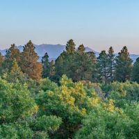 Four Shooting Stars Ranch