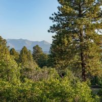 Four Shooting Stars Ranch images 4
