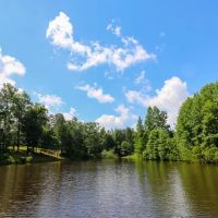 355 Acres with a Home in Jasper County in Vossburg MS images 2