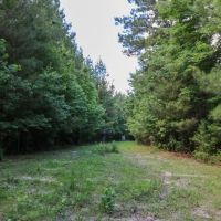 355 Acres with a Home in Jasper County in Vossburg MS images 3