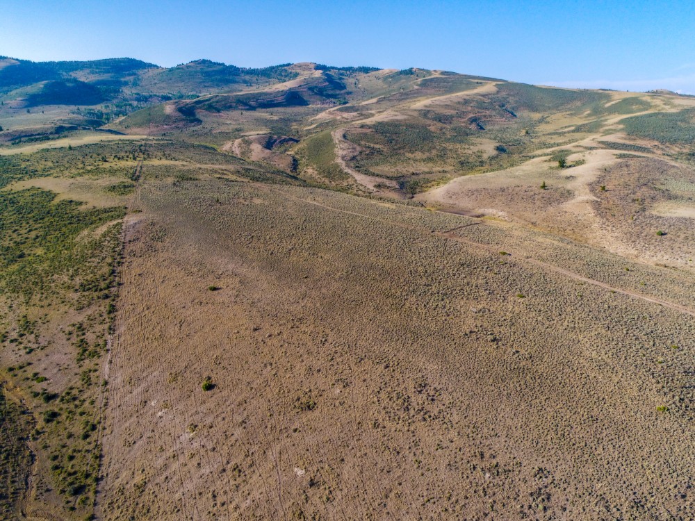 Stringham Sheep Company Ranch featured image