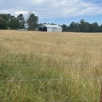 30 - Acres Located in Melbourne AR Pasture Land Barn Pond images 2