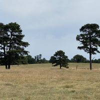 30 - Acres Located in Melbourne AR Pasture Land Barn Pond images 3