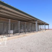 Roger Mills County Oklahoma Land for Sale images 5