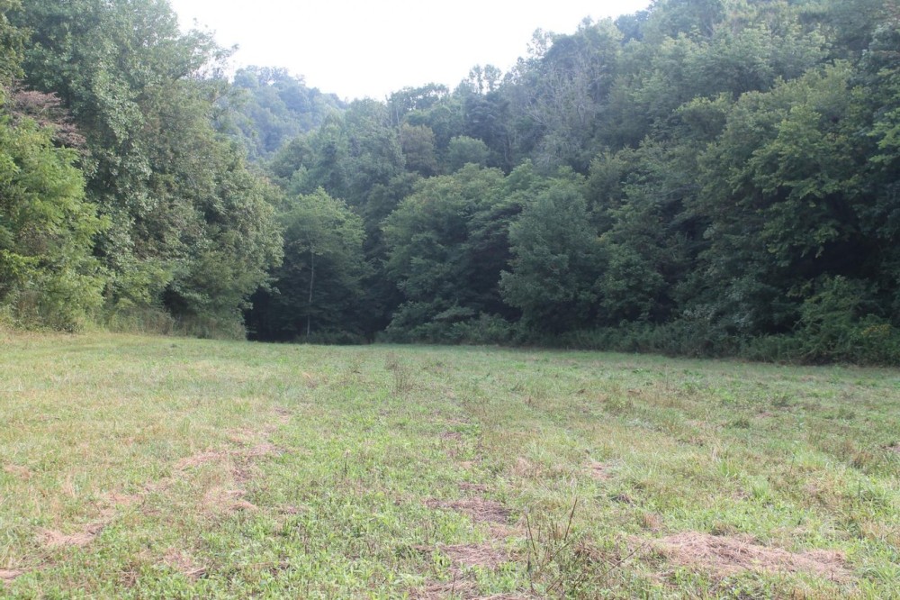 183.3 acres located in Smith County Tennessee Great hunting recreational property. featured image