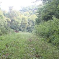 183.3 acres located in Smith County Tennessee Great hunting recreational property. images 2