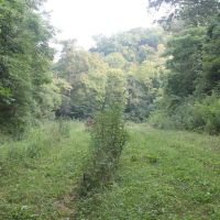 183.3 acres located in Smith County Tennessee Great hunting recreational property. images 3