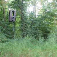 183.3 acres located in Smith County Tennessee Great hunting recreational property. images 4