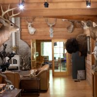 Ross Hammock Ranch images 4