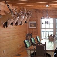 Ross Hammock Ranch images 5
