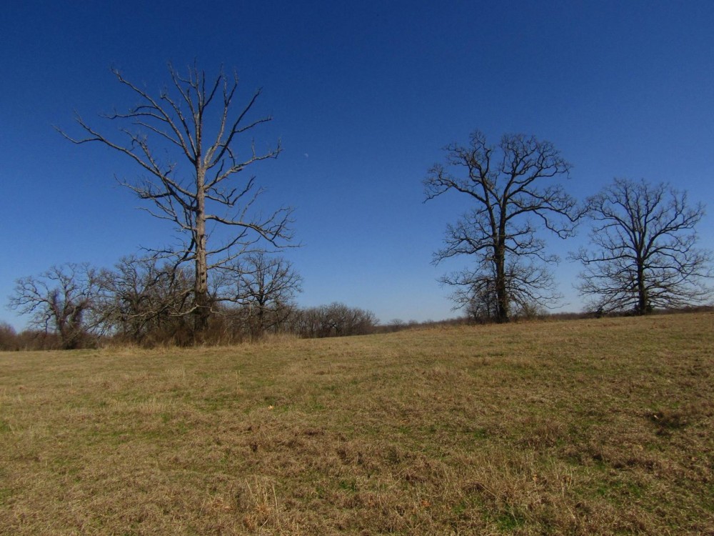PRIME Building Rolling Hill Tracts Choctaw County OK Tract 6 featured image