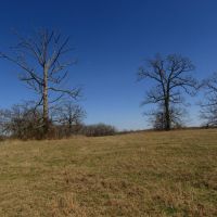 PRIME Building Rolling Hill Tracts Choctaw County OK Tract 6