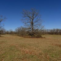 PRIME Building Rolling Hill Tracts Choctaw County OK Tract 6 images 2