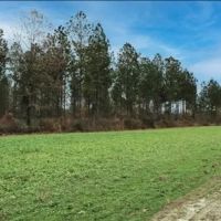 712 Acres with a Home in Lamar County in Lumberton MS images 2