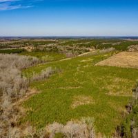 50 Acres Lincoln Parish Timberland for Sale North LA