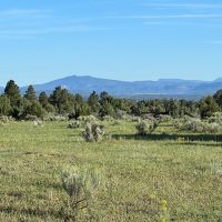 Hunting Ranch with Wooded Acreage in Northern New Mexico
