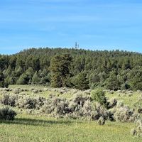 Hunting Ranch with Wooded Acreage in Northern New Mexico images 2