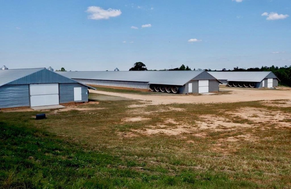 Poultry Breeder Turnkey Farm 3 Mega House in SW Mississippi featured image