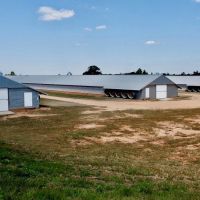 Poultry Breeder Turnkey Farm 3 Mega House in SW Mississippi