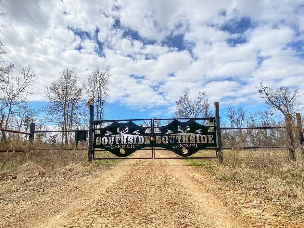 Southside Hunting Shares for Sale in Jefferson County MS featured image