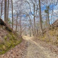 Southside Hunting Shares for Sale in Jefferson County MS images 3