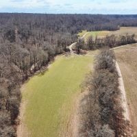 Southside Hunting Shares for Sale in Jefferson County MS images 4