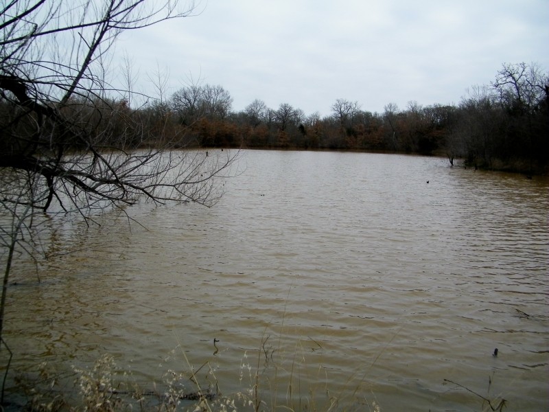 126 Acres for Cattle or Hunting featured image