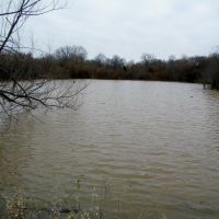 126 Acres for Cattle or Hunting