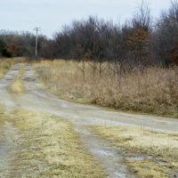 126 Acres for Cattle or Hunting images 4