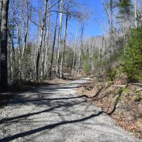 Hwy 64 Mountain Vistas-Macon County NC images 4