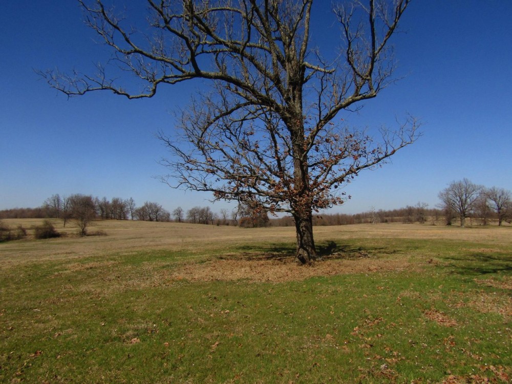 PRIME Building Rolling Hill Tracts Choctaw County OK Tract 5 featured image