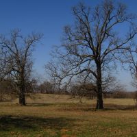 PRIME Building Rolling Hill Tracts Choctaw County OK Tract 5 images 3