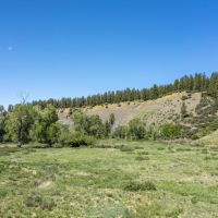 The River Ranch images 2