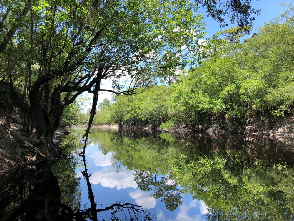 Riverhaven on St. Marys River featured image