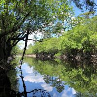 Riverhaven on St. Marys River