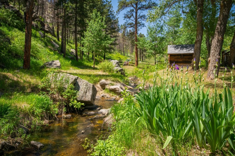Luman Creek Ranch featured image