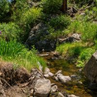 Luman Creek Ranch images 5