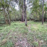 38 Acres Hunting Timberland for Sale Huttig AR images 4