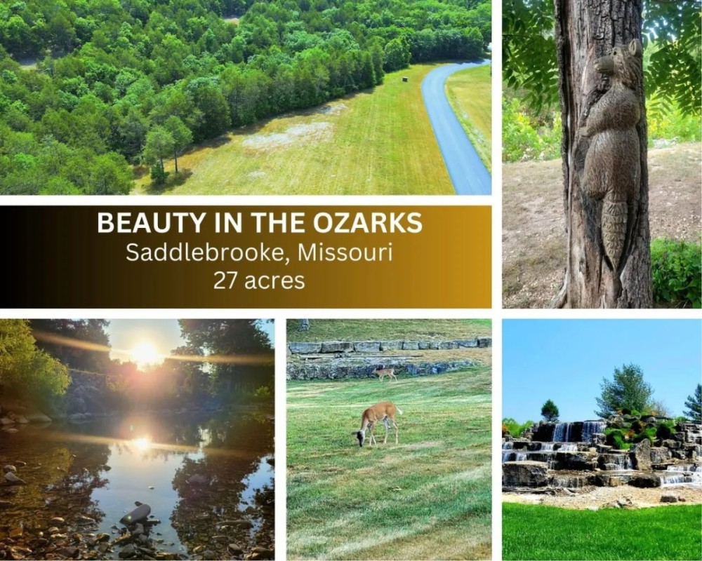 Village of Saddlebrooke 27.46 acres featured image