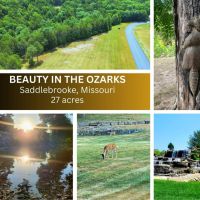 Village of Saddlebrooke 27.46 acres