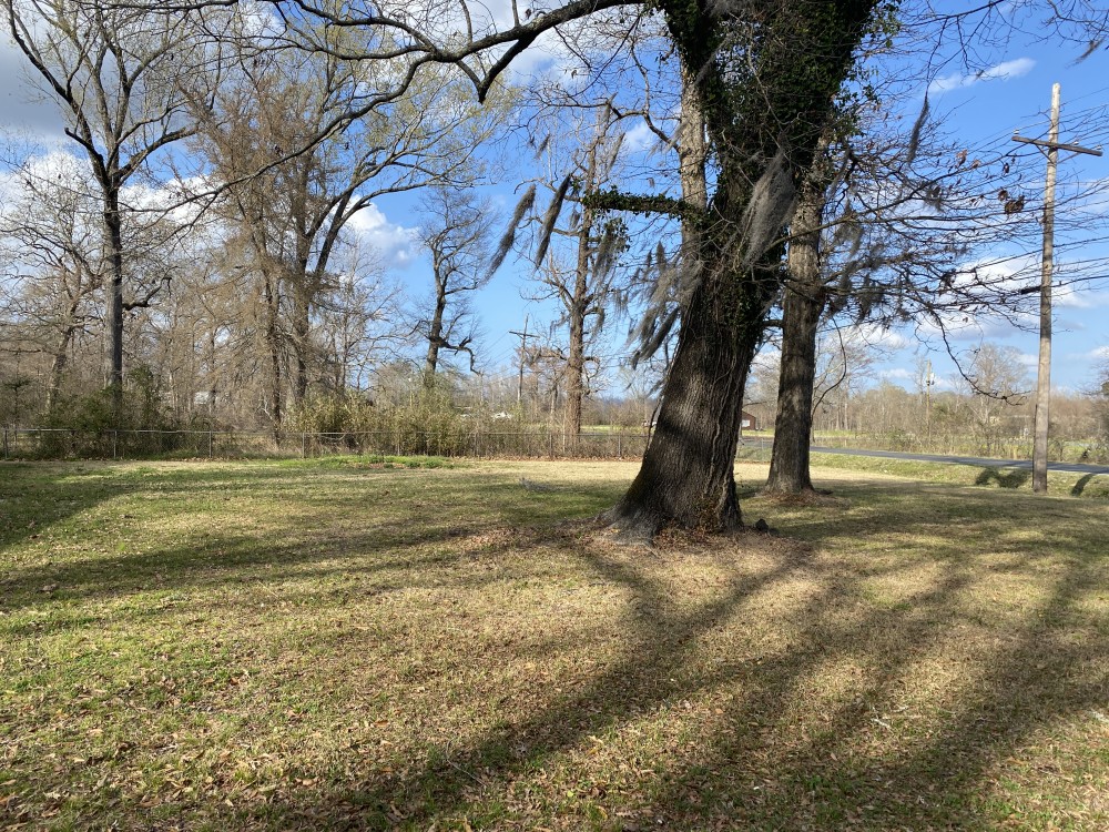 LA - Ouachita 77 acres - featured image