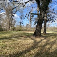LA - Ouachita 77 acres -