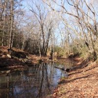 116 - Acres near Batesville AR images 2