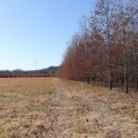 116 - Acres near Batesville AR images 3