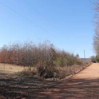 116 - Acres near Batesville AR images 4
