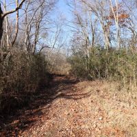116 - Acres near Batesville AR images 5
