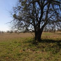 Prime Building Rolling Hill Tracts Choctaw County OK Tract 2 images 5