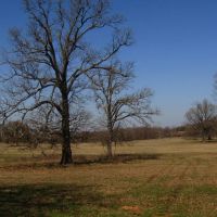 Prime Building Rolling Hill Tracts Choctaw County OK Tract 3 images 5