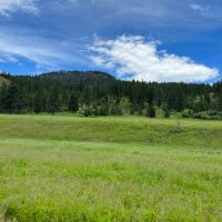 Perry Mill Ranch images 1